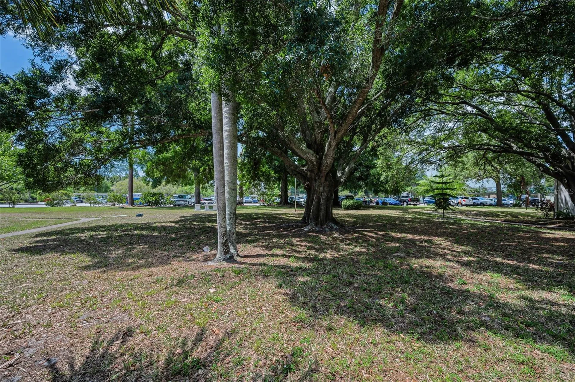 2600 Pine Ridge Way S Palm Harbor FL 34684
