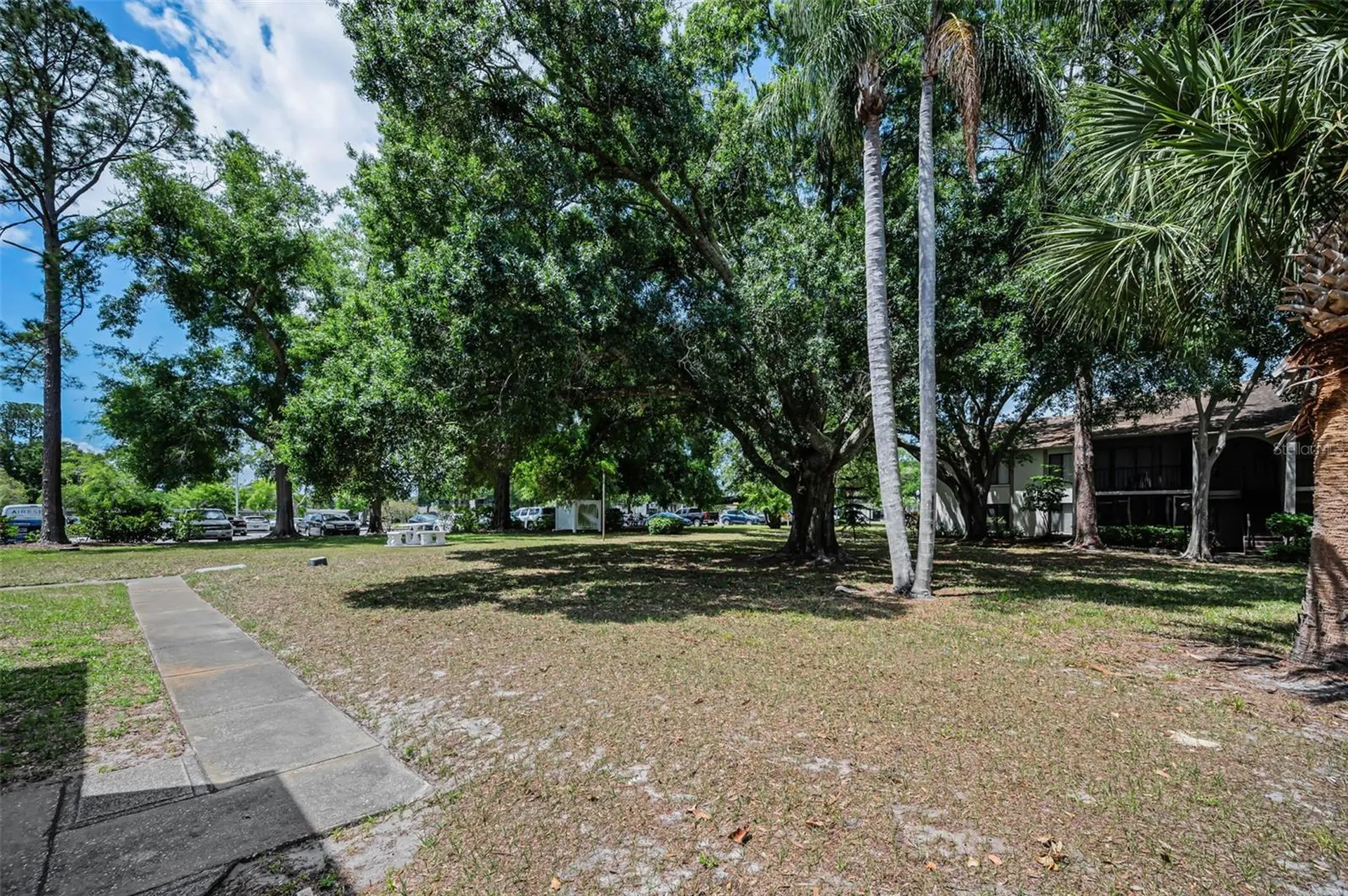 2600 Pine Ridge Way S Palm Harbor FL 34684