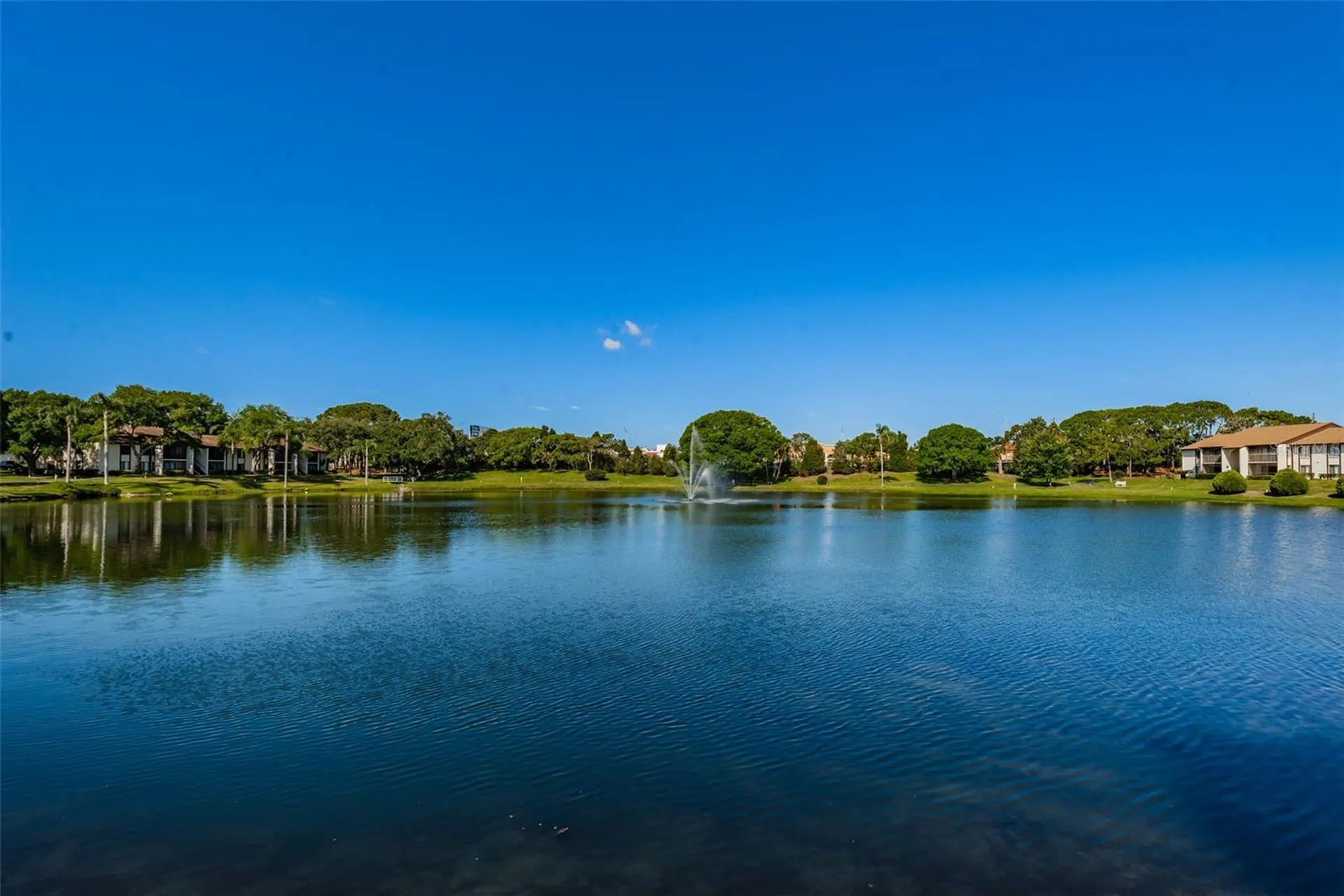 2600 Pine Ridge Way S Palm Harbor FL 34684