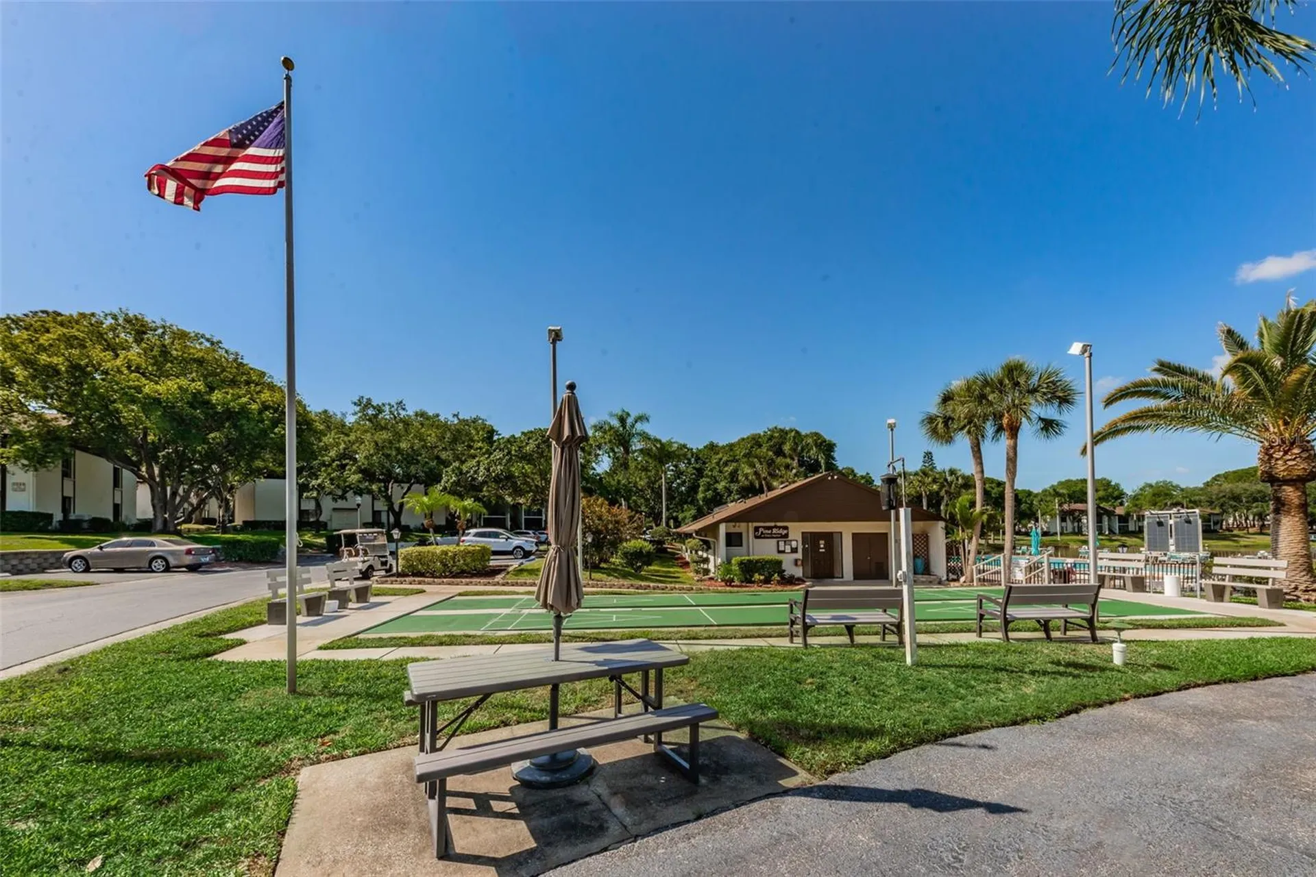 2600 Pine Ridge Way S Palm Harbor FL 34684