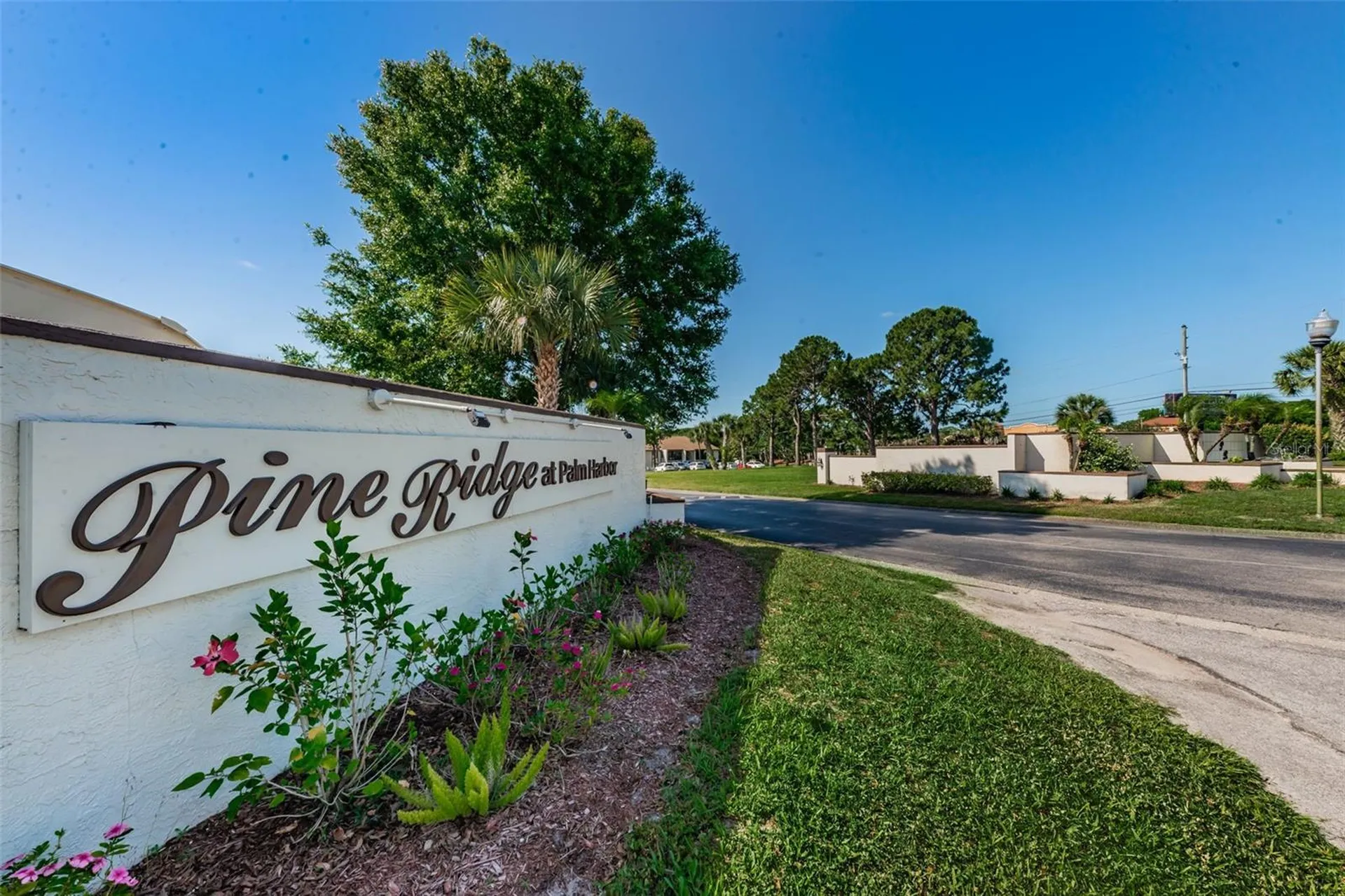 2600 Pine Ridge Way S Palm Harbor FL 34684