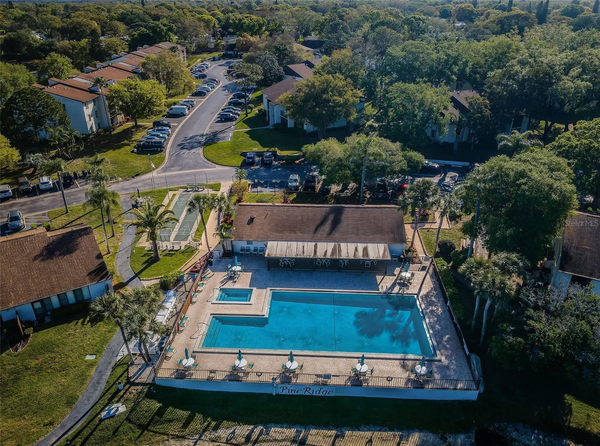 2600 Pine Ridge Way S Palm Harbor FL 34684