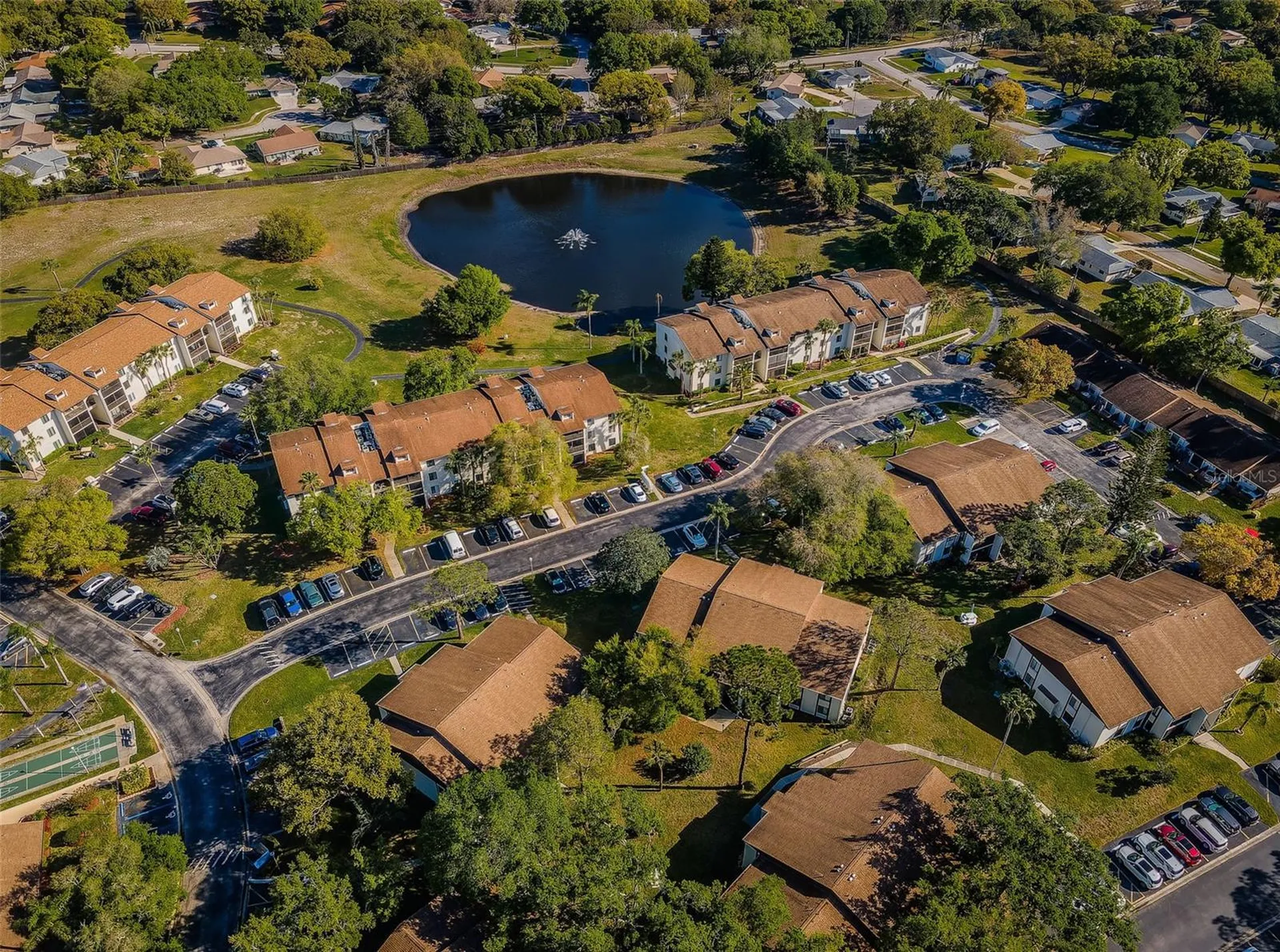 2600 Pine Ridge Way S Palm Harbor FL 34684