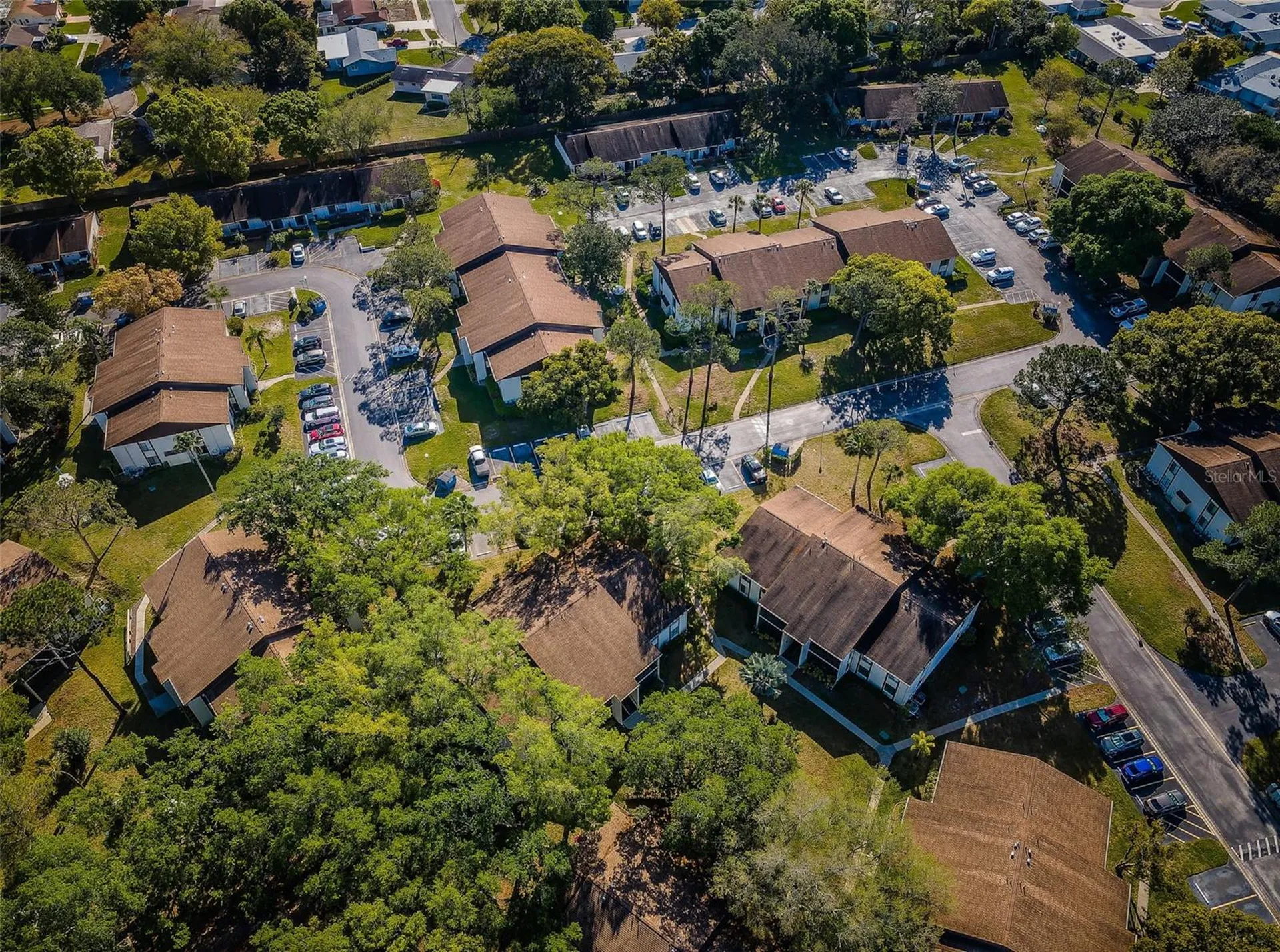 2600 Pine Ridge Way S Palm Harbor FL 34684
