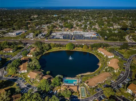 2600 Pine Ridge Way S Palm Harbor FL 34684