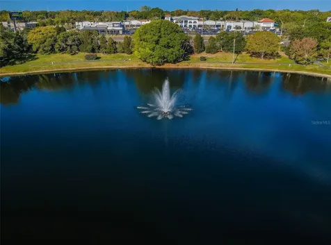 2600 Pine Ridge Way S Palm Harbor FL 34684