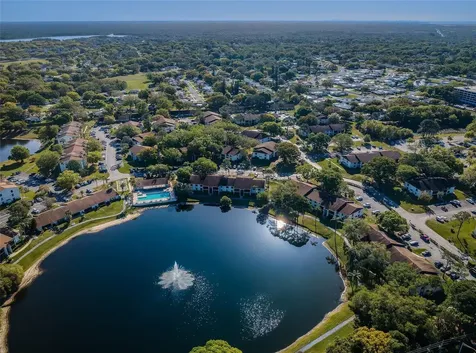 2600 Pine Ridge Way S Palm Harbor FL 34684