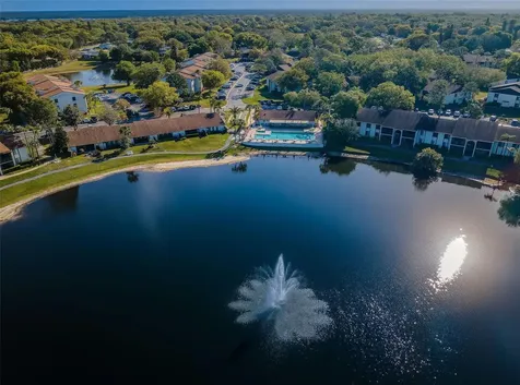 2600 Pine Ridge Way S Palm Harbor FL 34684