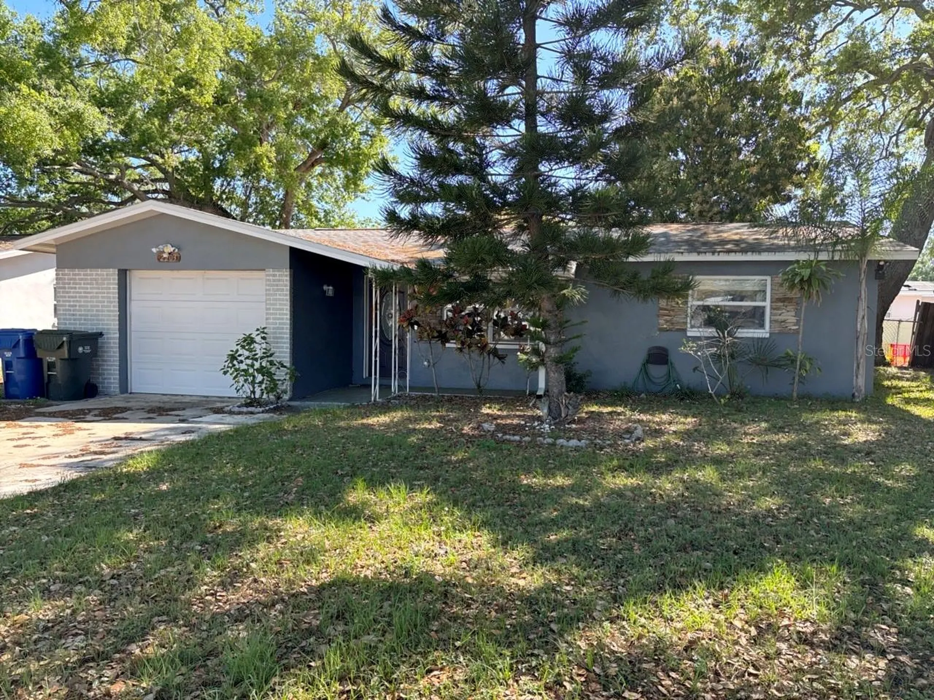 2203 Gladys Street Largo FL 33774
