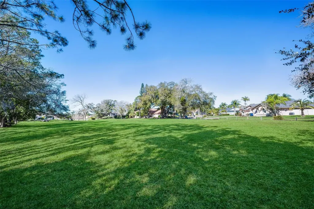 2823 Challenger Drive Palm Harbor FL 34683
