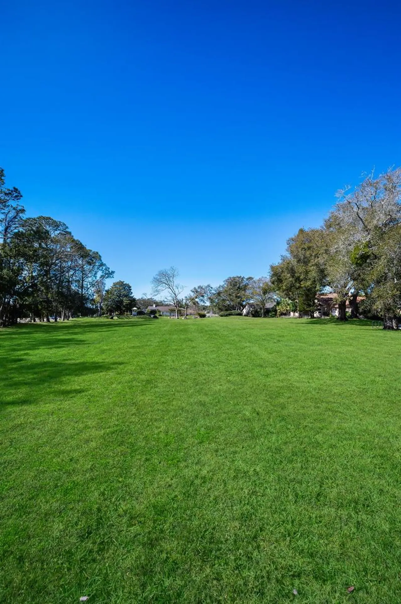 2823 Challenger Drive Palm Harbor FL 34683