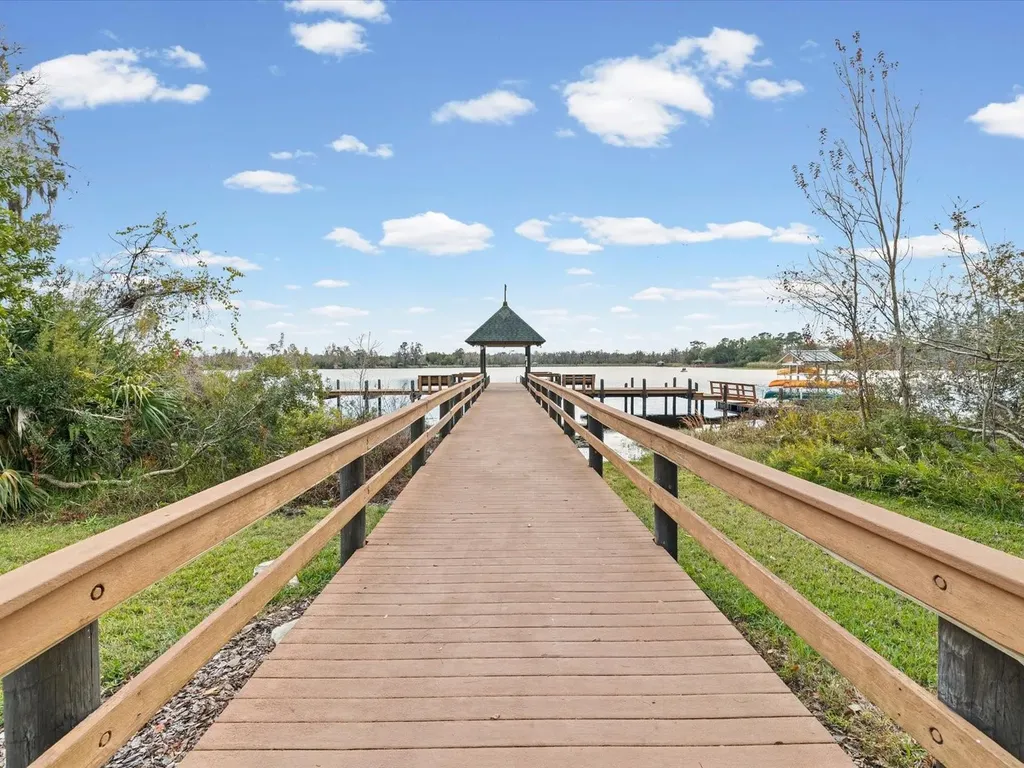 21014 Follensby Court Land O Lakes FL 34637