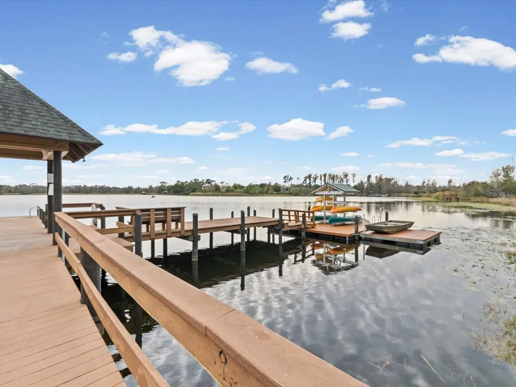 21014 Follensby Court Land O Lakes FL 34637