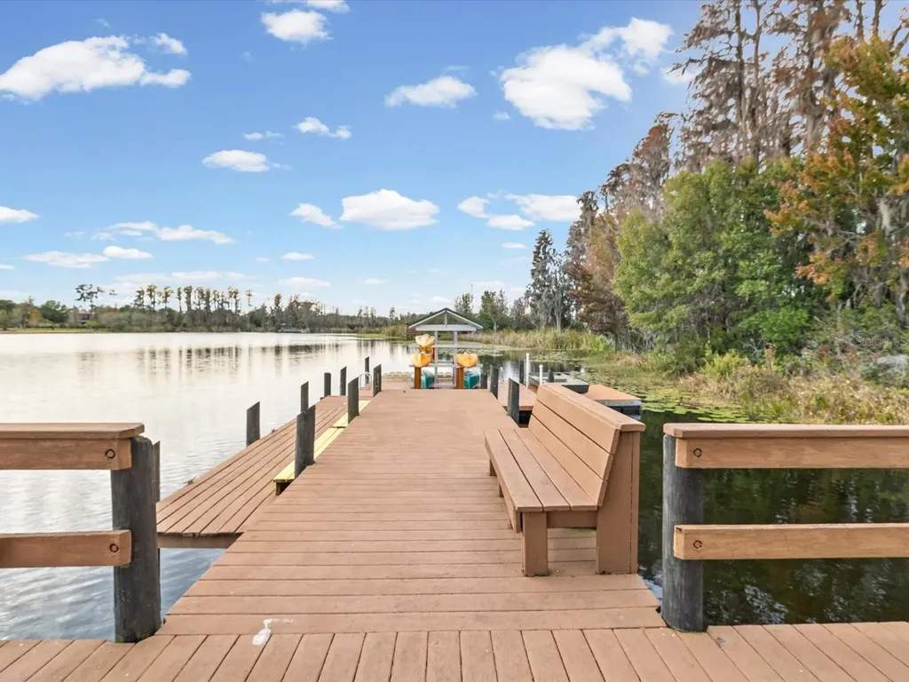 21014 Follensby Court Land O Lakes FL 34637