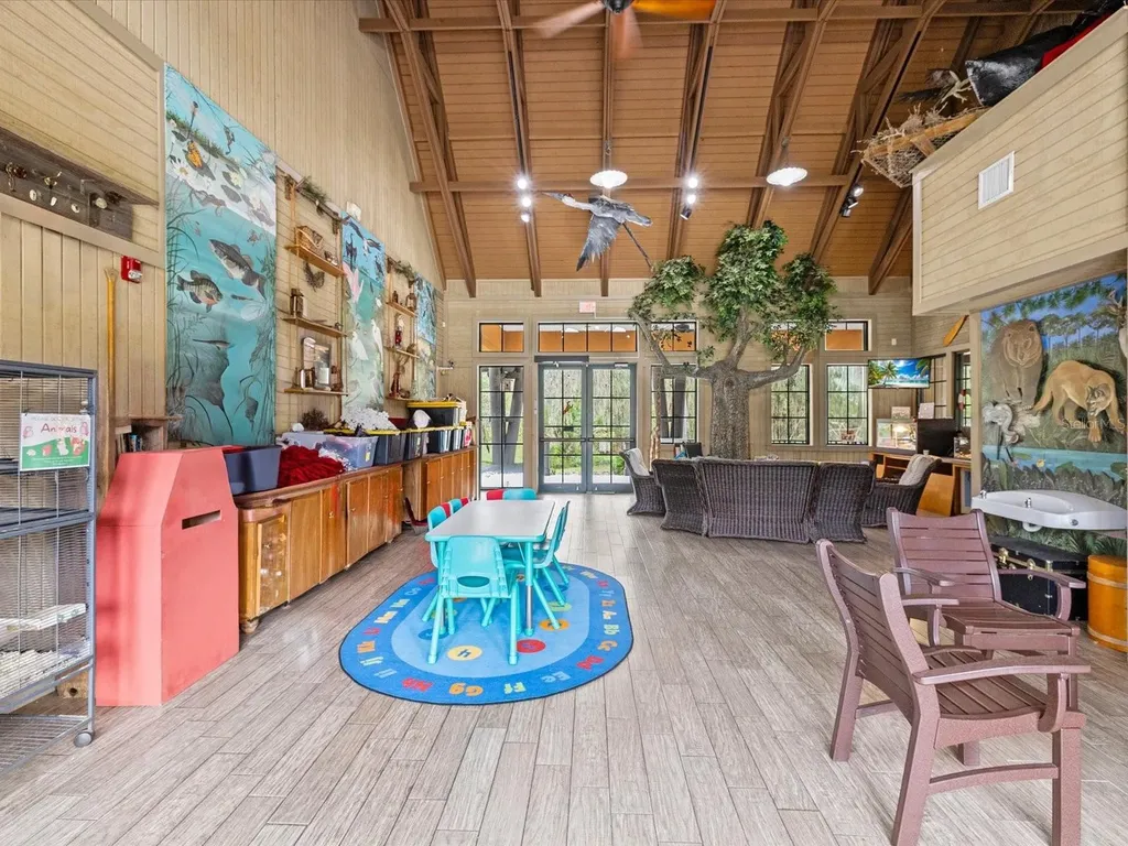 21014 Follensby Court Land O Lakes FL 34637