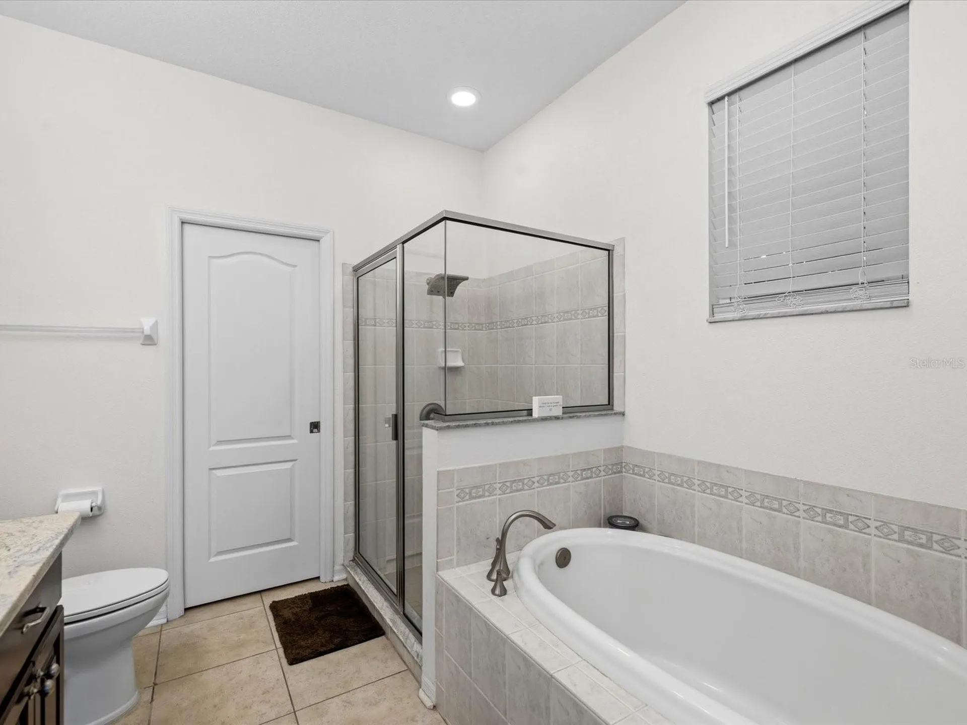 21014 Follensby Court Land O Lakes FL 34637