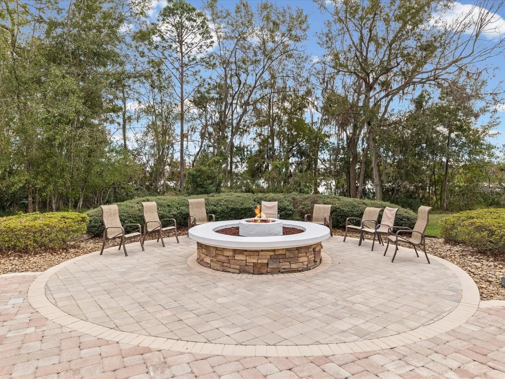 21014 Follensby Court Land O Lakes FL 34637