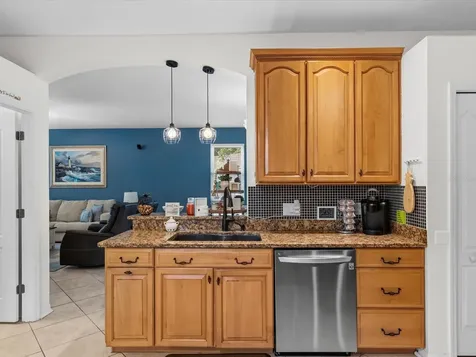21014 Follensby Court Land O Lakes FL 34637