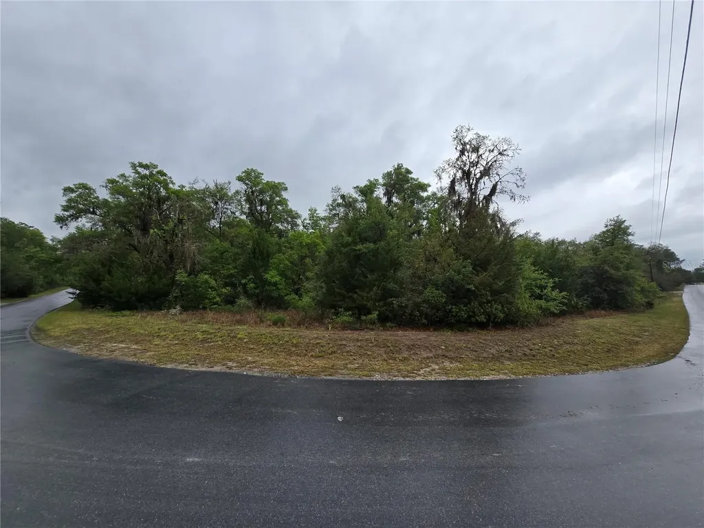 6727 N Linen Point Dunnellon FL 34433