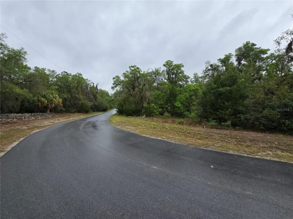 6727 N Linen Point Dunnellon FL 34433