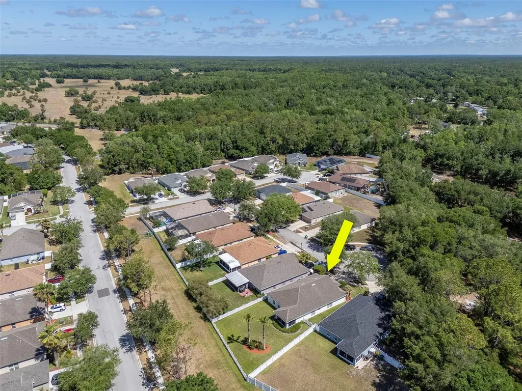 25944 Winning Colors Way Wesley Chapel FL 33544