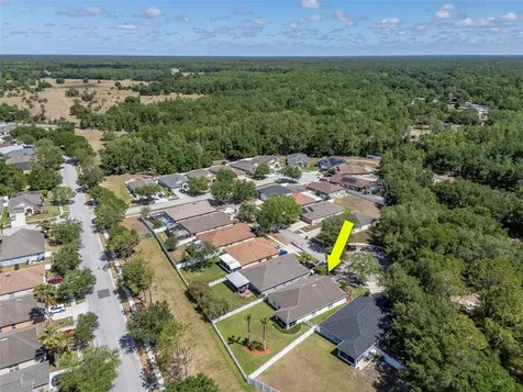 25944 Winning Colors Way Wesley Chapel FL 33544