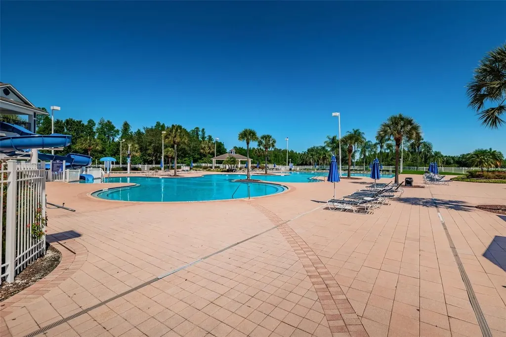19313 Aqua Springs Drive Lutz FL 33558