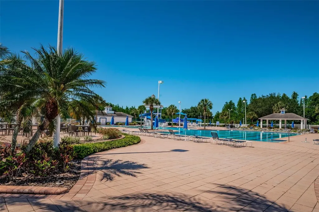 19313 Aqua Springs Drive Lutz FL 33558