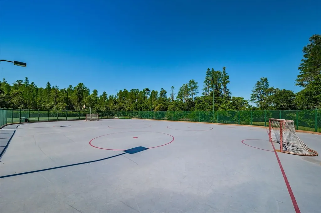 19313 Aqua Springs Drive Lutz FL 33558