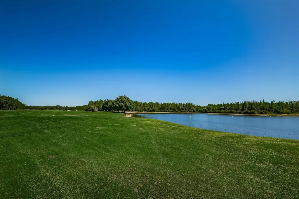 19313 Aqua Springs Drive Lutz FL 33558