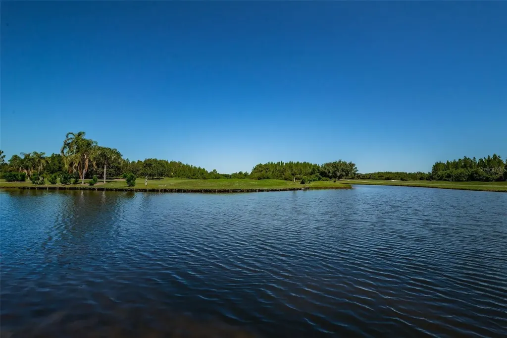19313 Aqua Springs Drive Lutz FL 33558