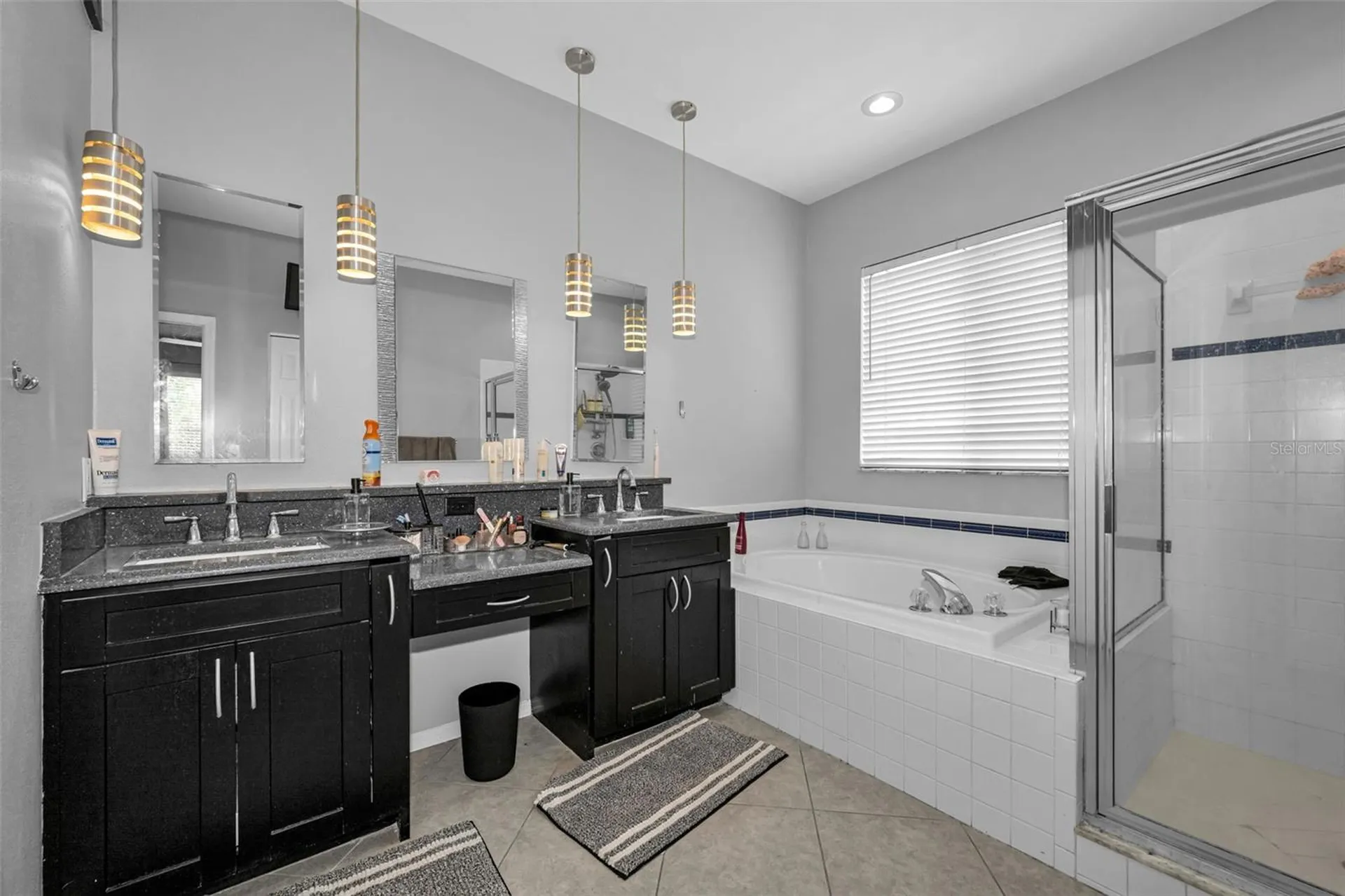 19313 Aqua Springs Drive Lutz FL 33558