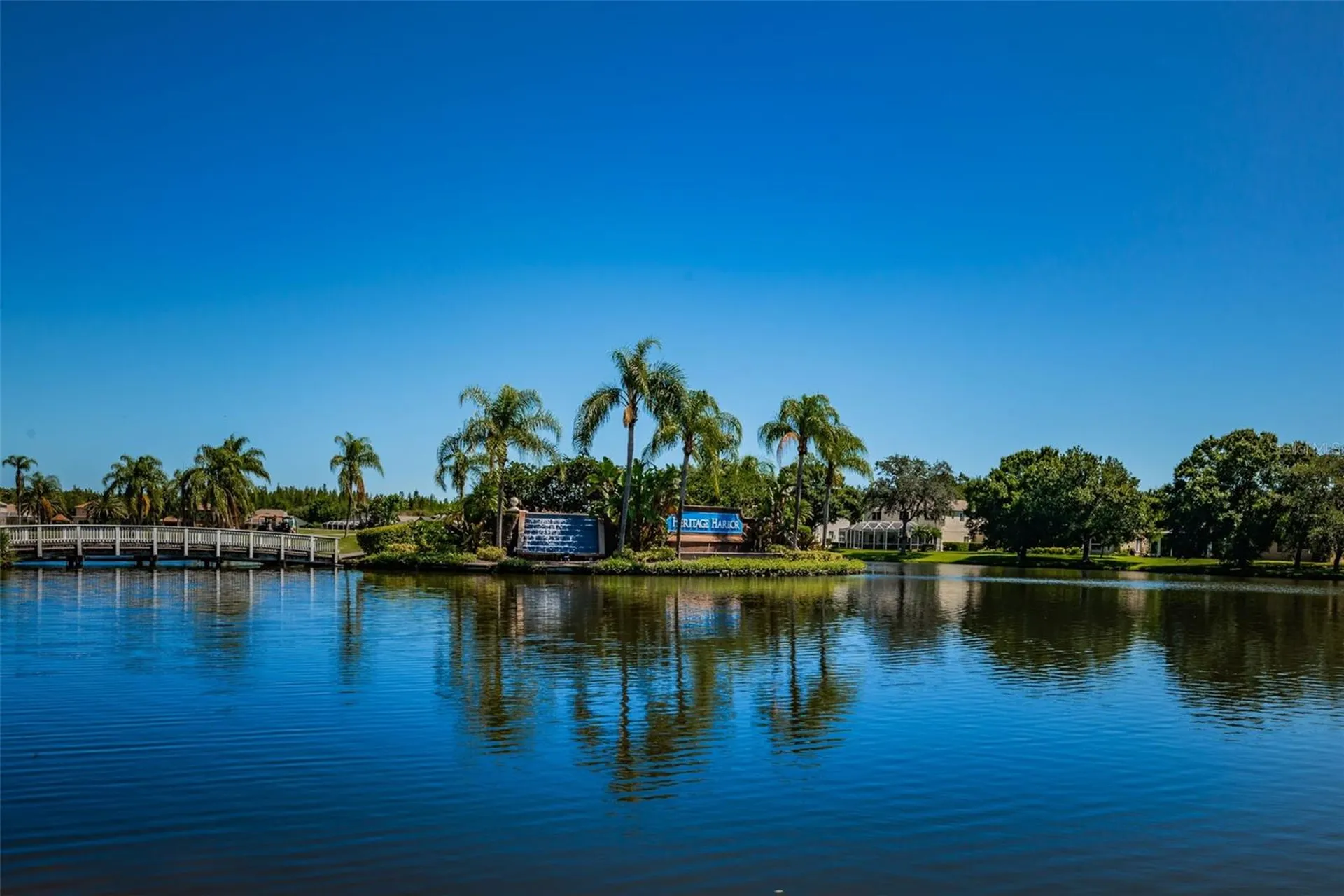 19313 Aqua Springs Drive Lutz FL 33558