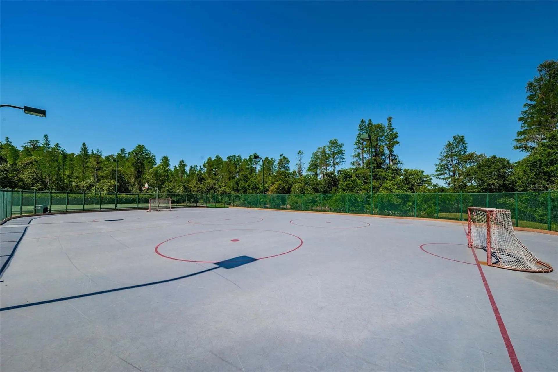 19313 Aqua Springs Drive Lutz FL 33558