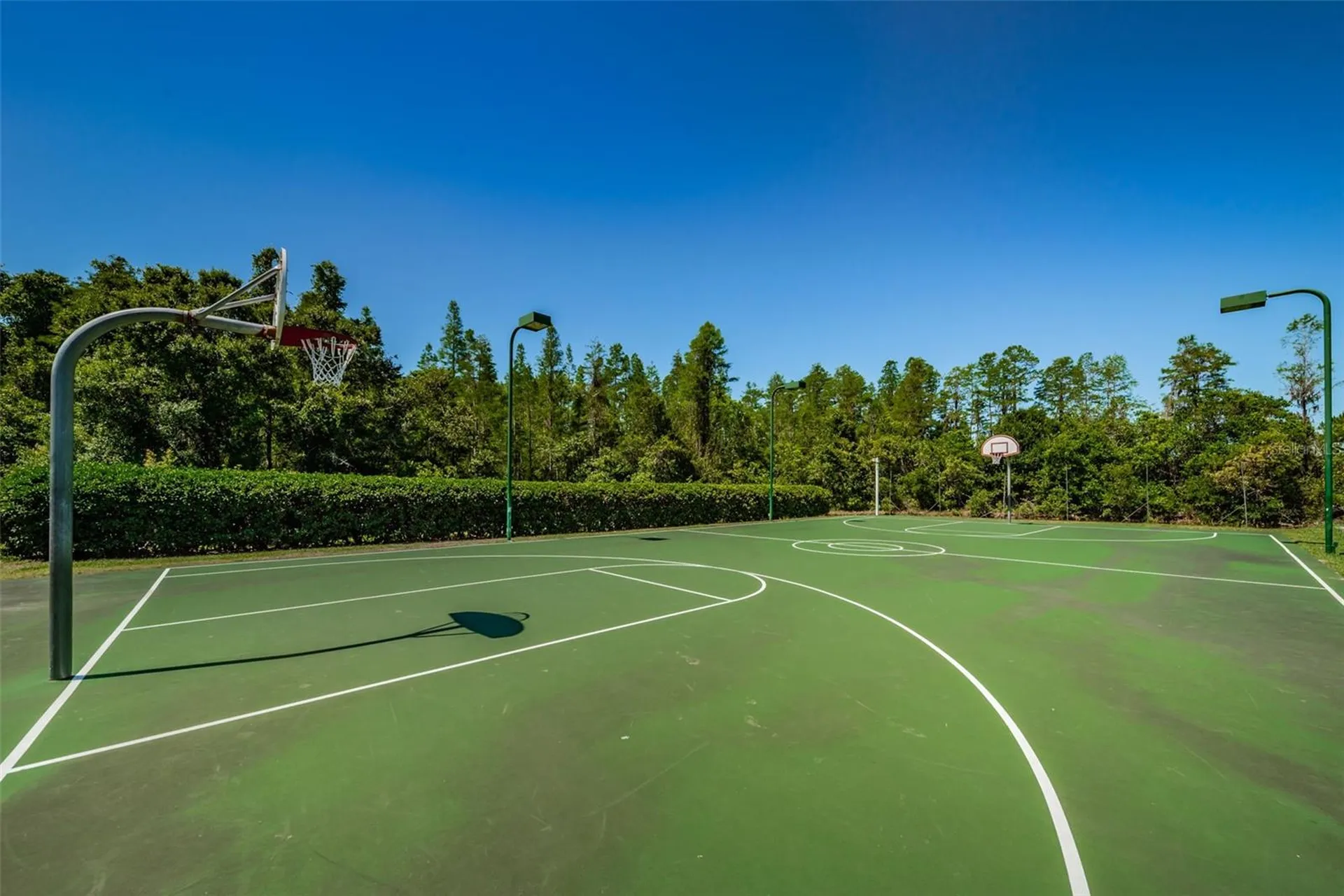 19313 Aqua Springs Drive Lutz FL 33558