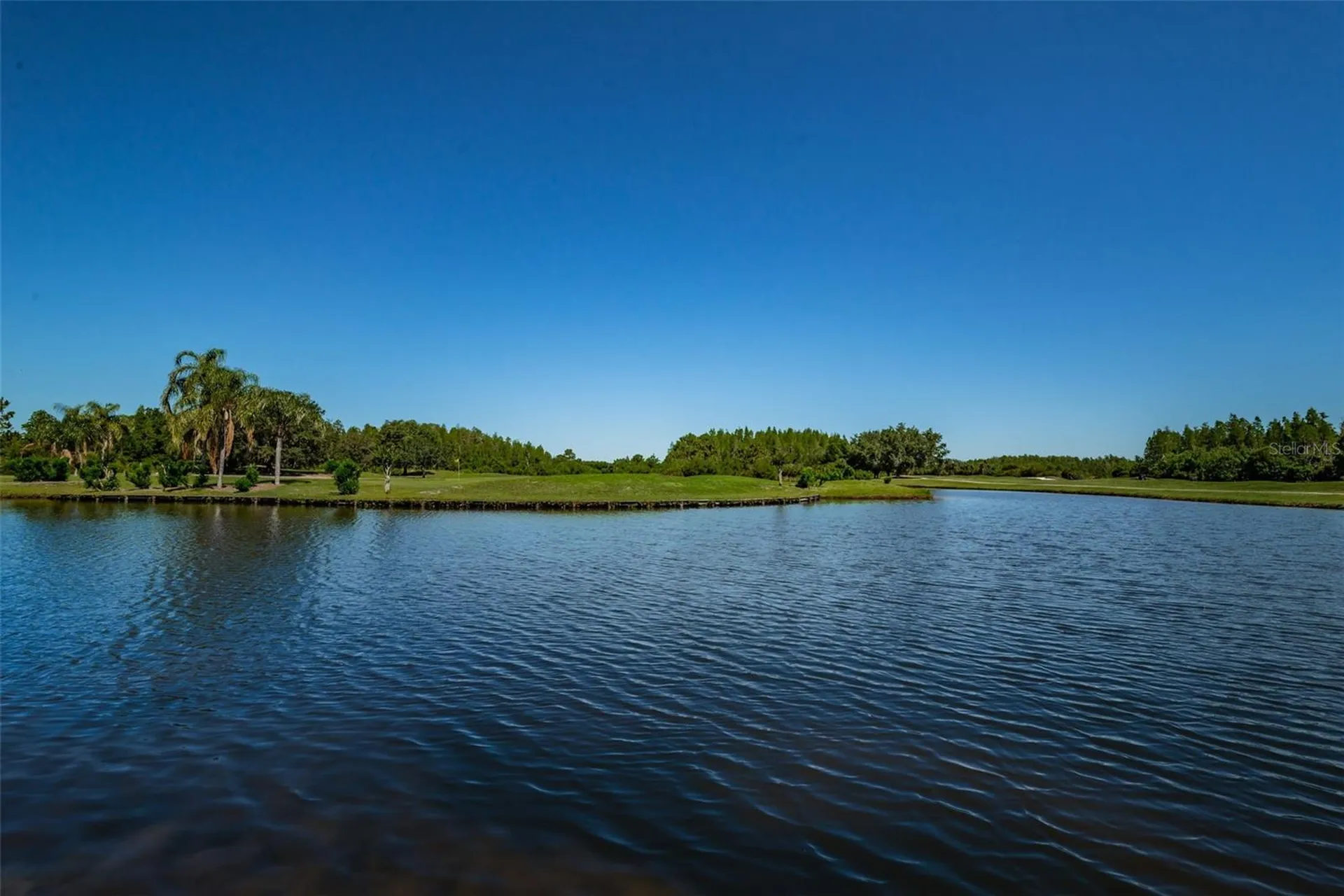 19313 Aqua Springs Drive Lutz FL 33558