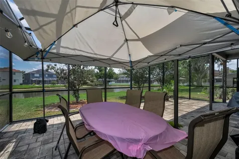 19313 Aqua Springs Drive Lutz FL 33558