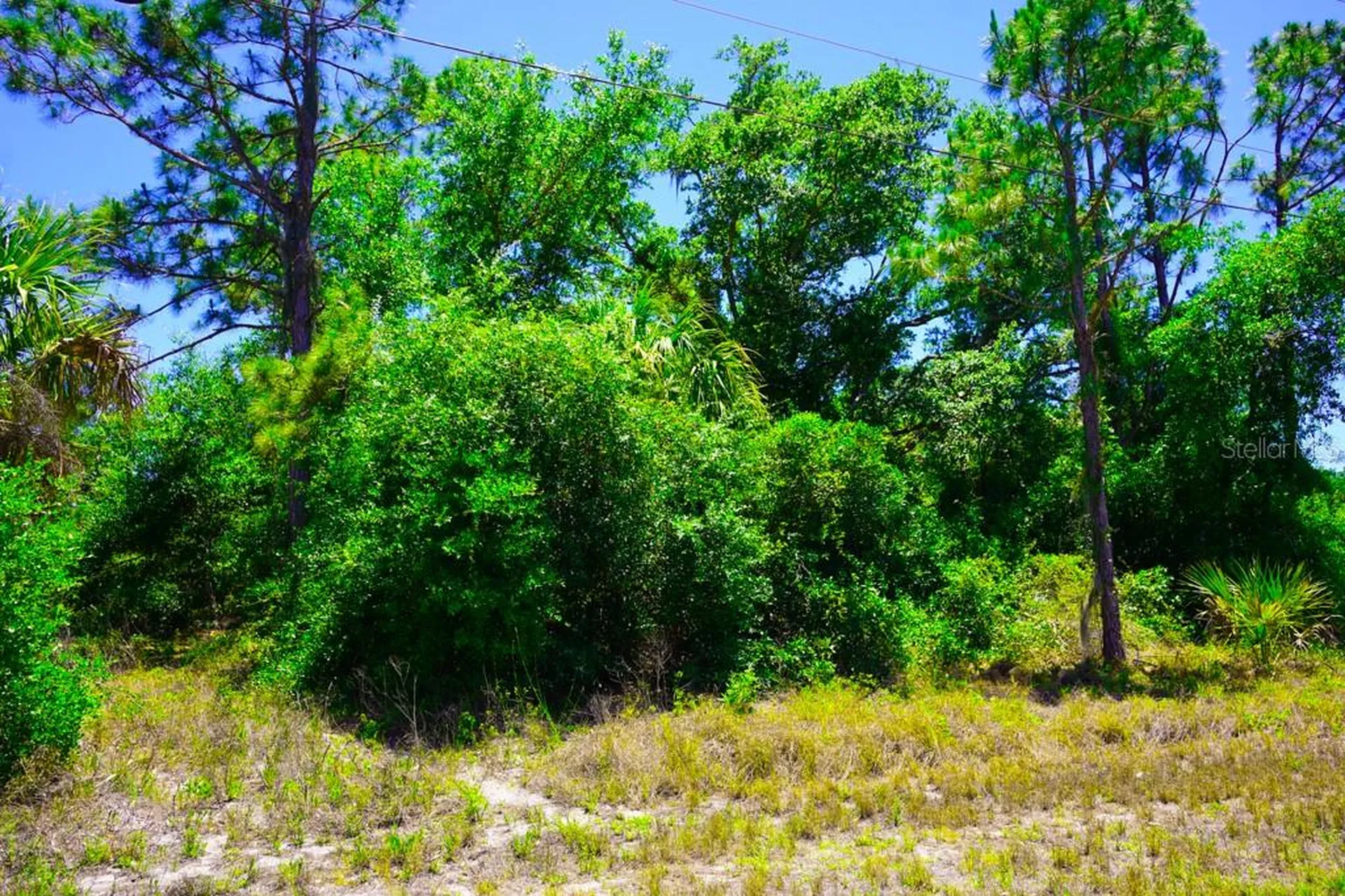 15531 Factory Avenue Port Charlotte FL 33953
