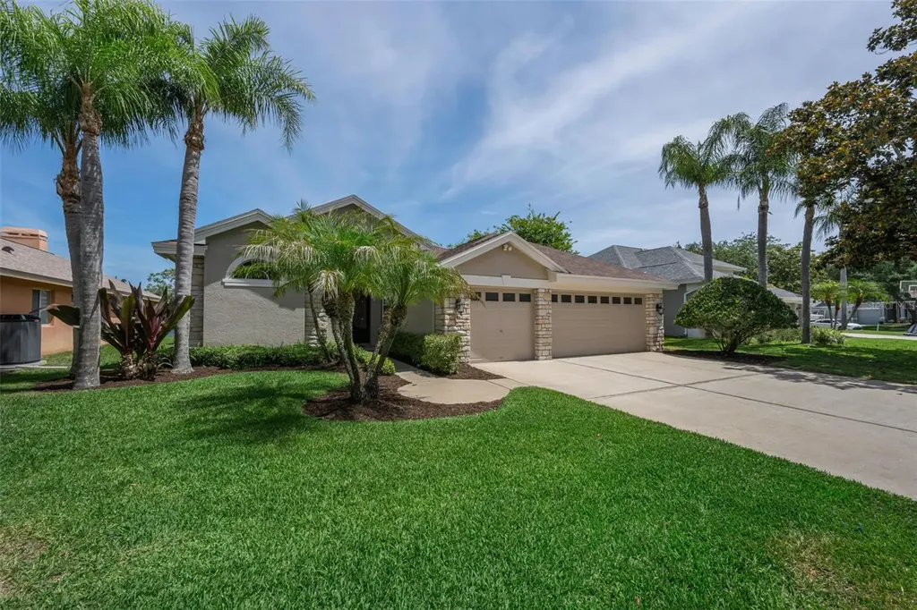 2993 Northfield Drive Tarpon Springs FL 34688