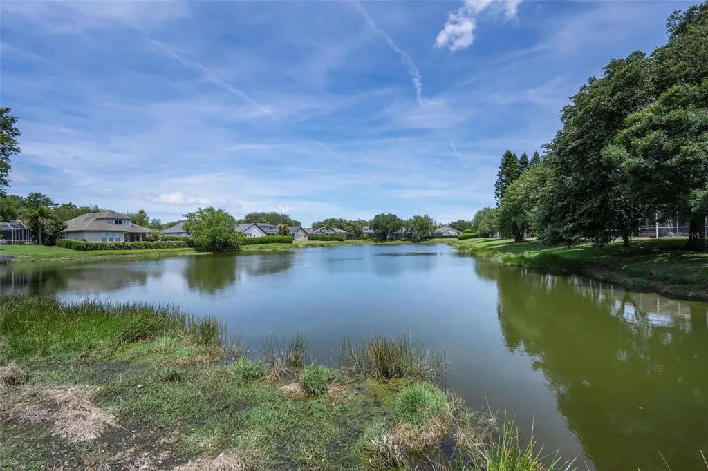 2993 Northfield Drive Tarpon Springs FL 34688