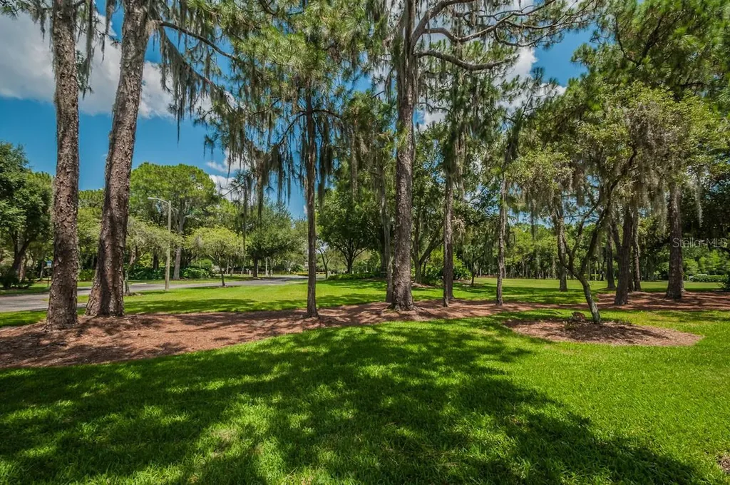 2993 Northfield Drive Tarpon Springs FL 34688