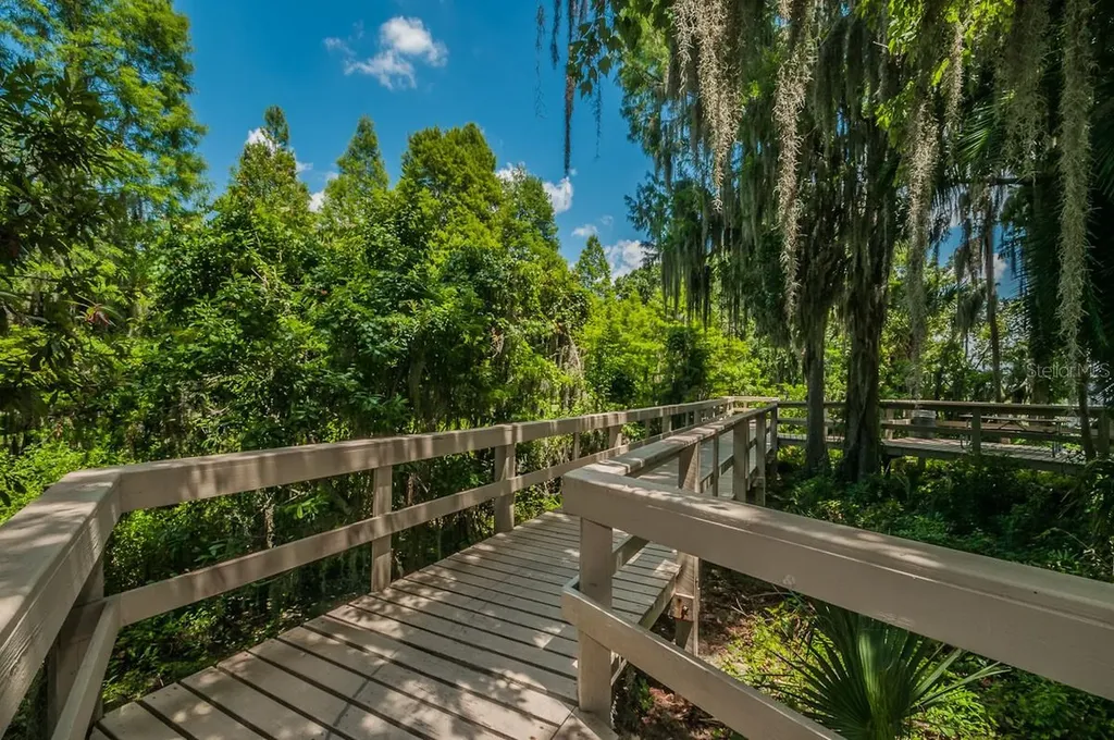 2993 Northfield Drive Tarpon Springs FL 34688