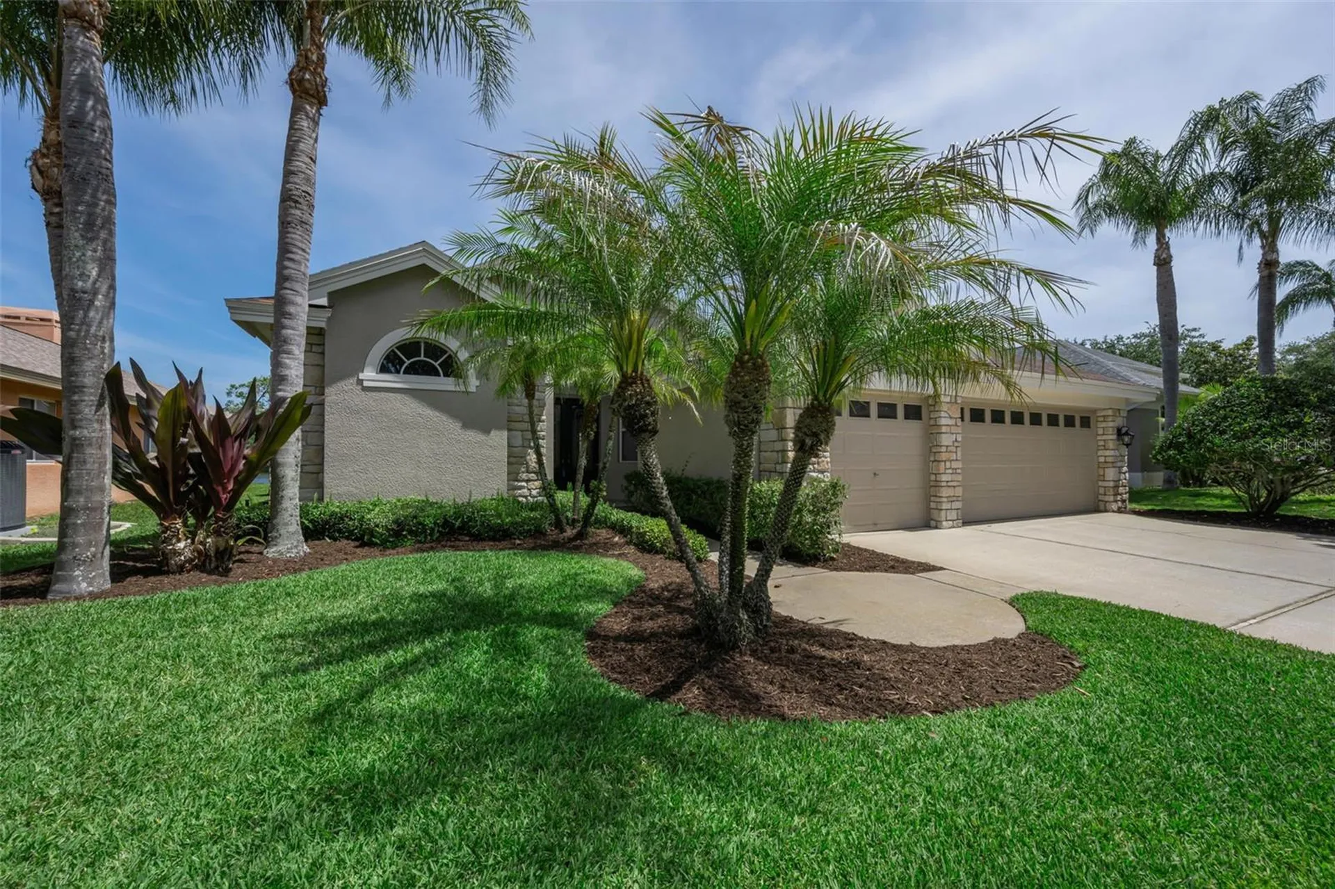 2993 Northfield Drive Tarpon Springs FL 34688