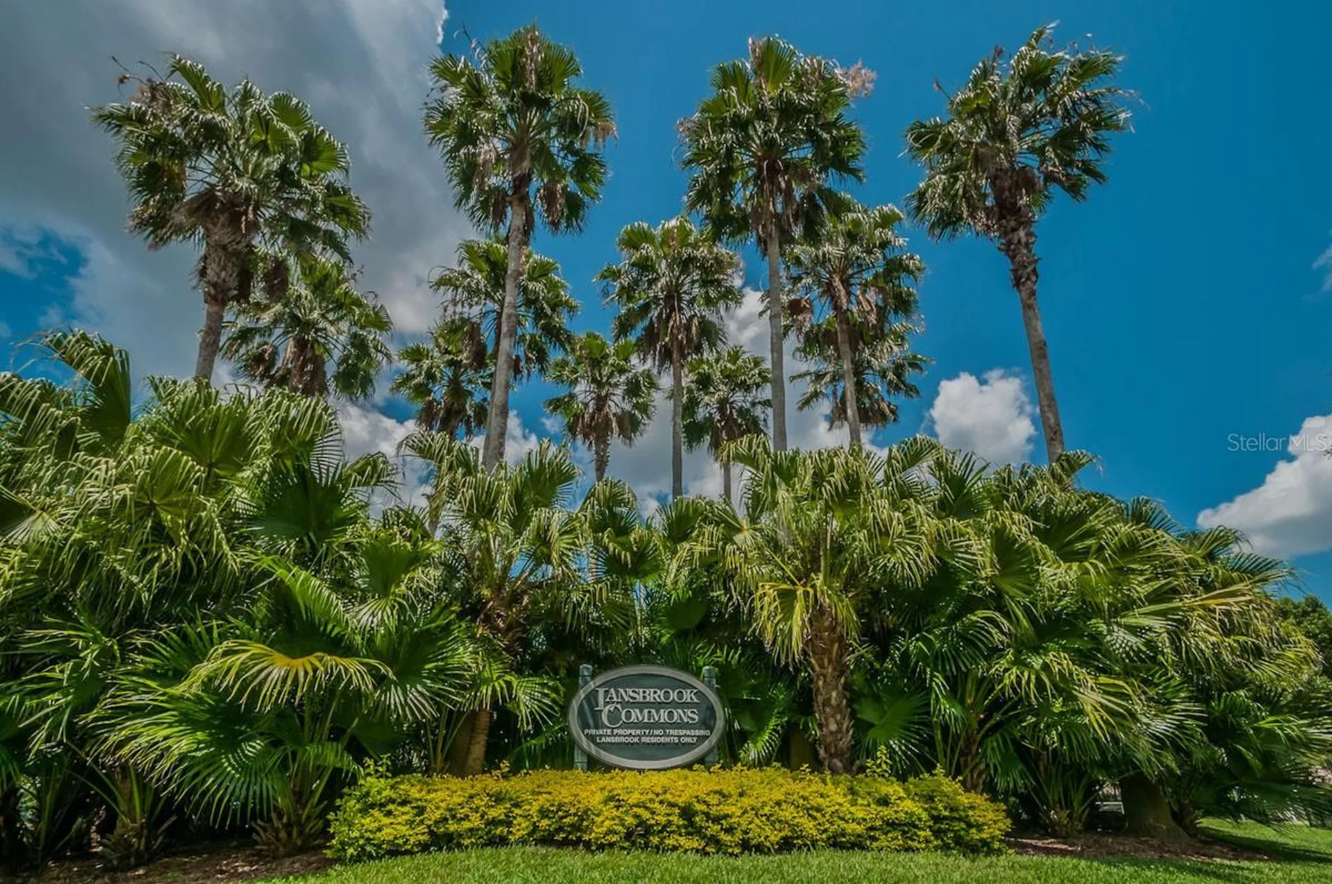 2993 Northfield Drive Tarpon Springs FL 34688