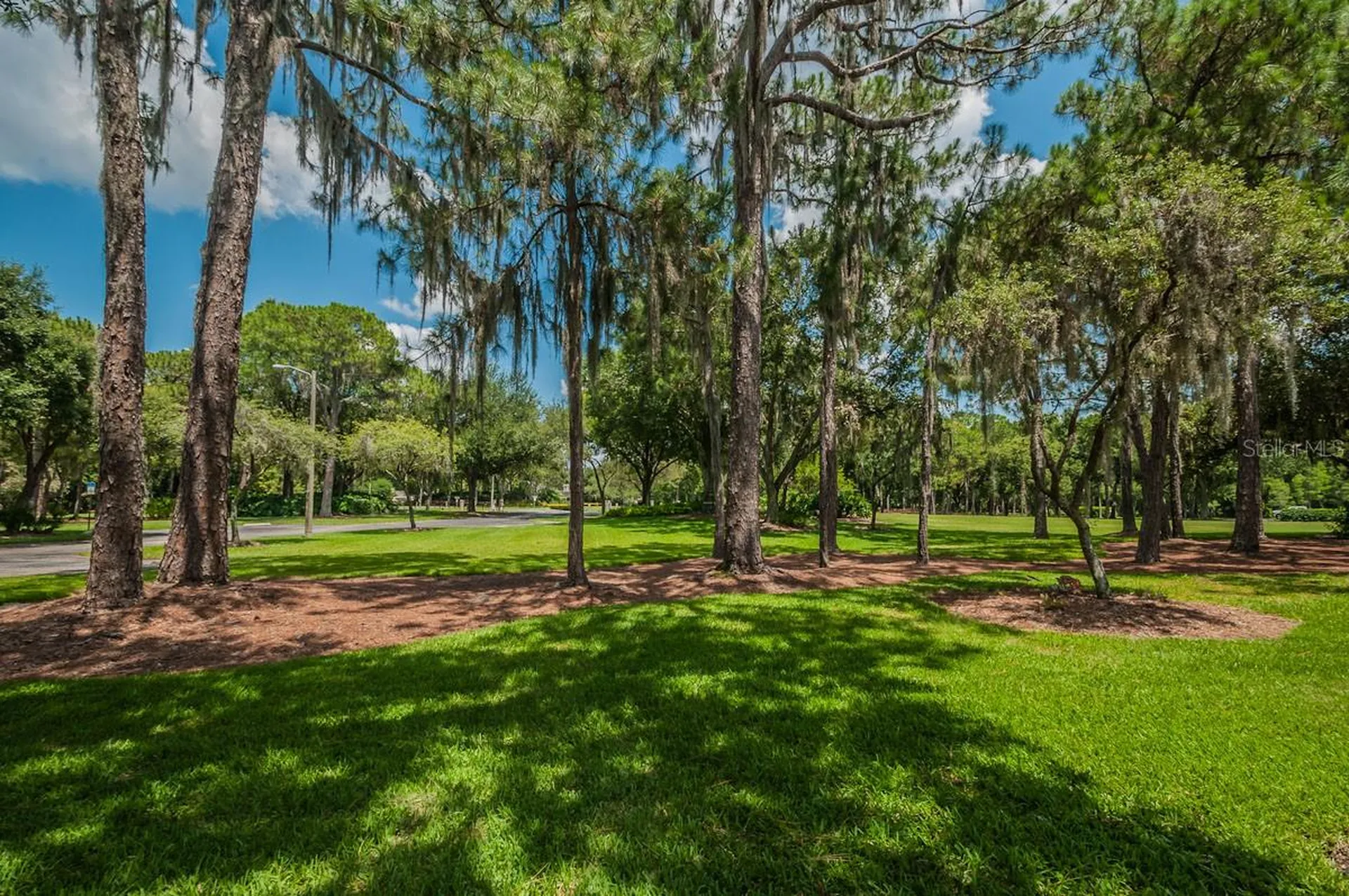 2993 Northfield Drive Tarpon Springs FL 34688