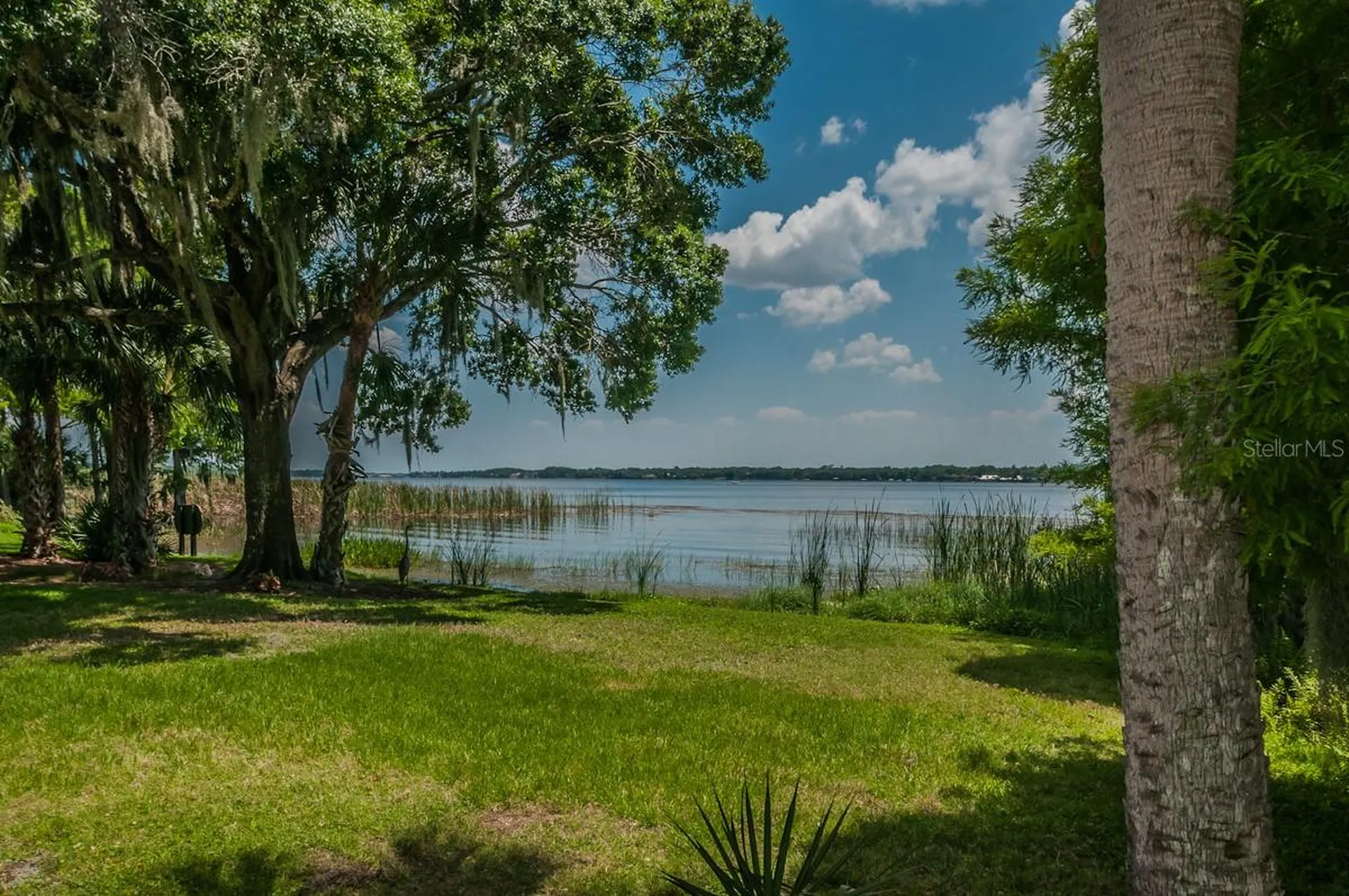 2993 Northfield Drive Tarpon Springs FL 34688