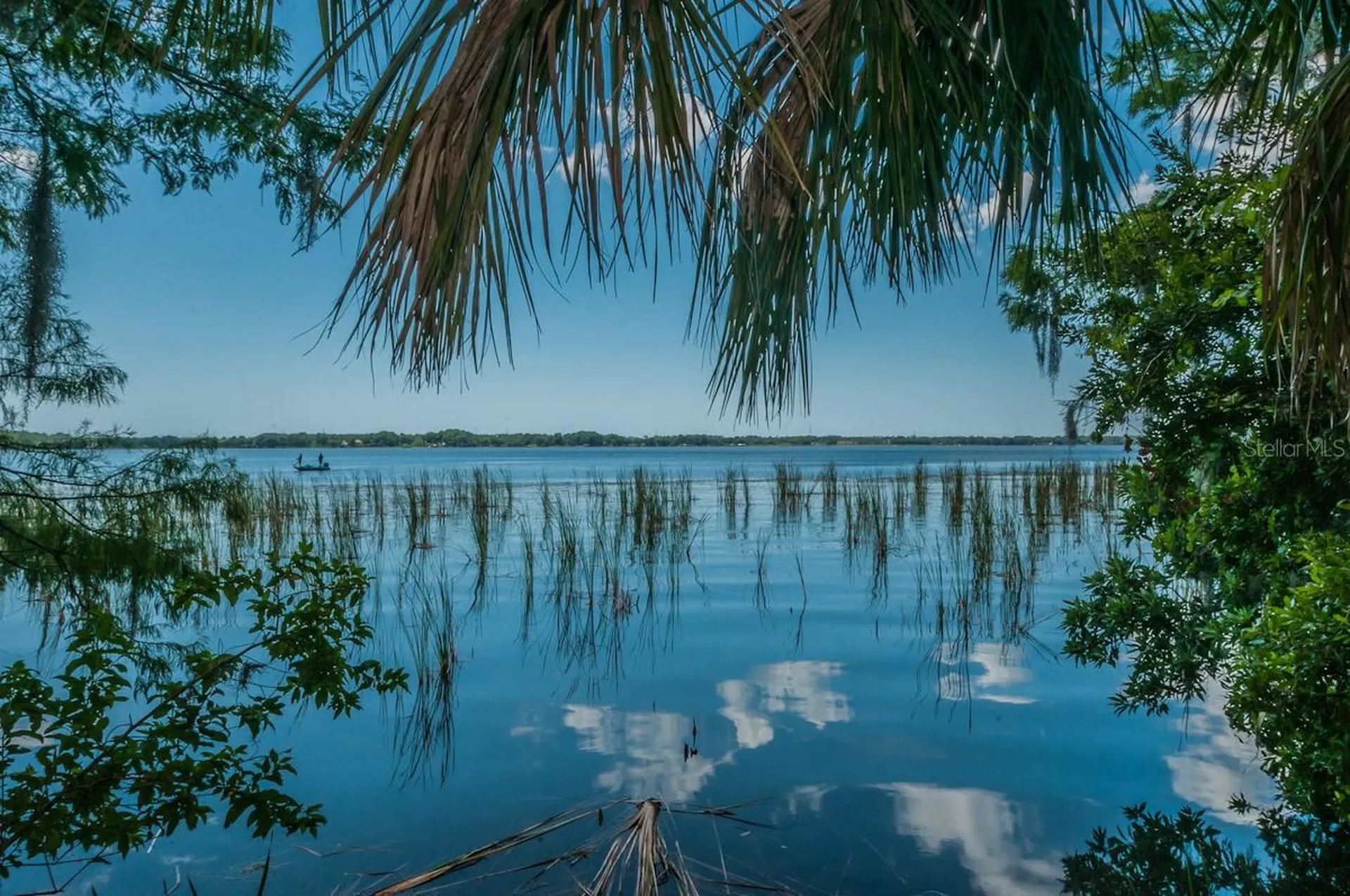 2993 Northfield Drive Tarpon Springs FL 34688