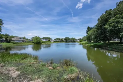 2993 Northfield Drive Tarpon Springs FL 34688