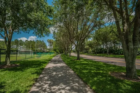 2993 Northfield Drive Tarpon Springs FL 34688