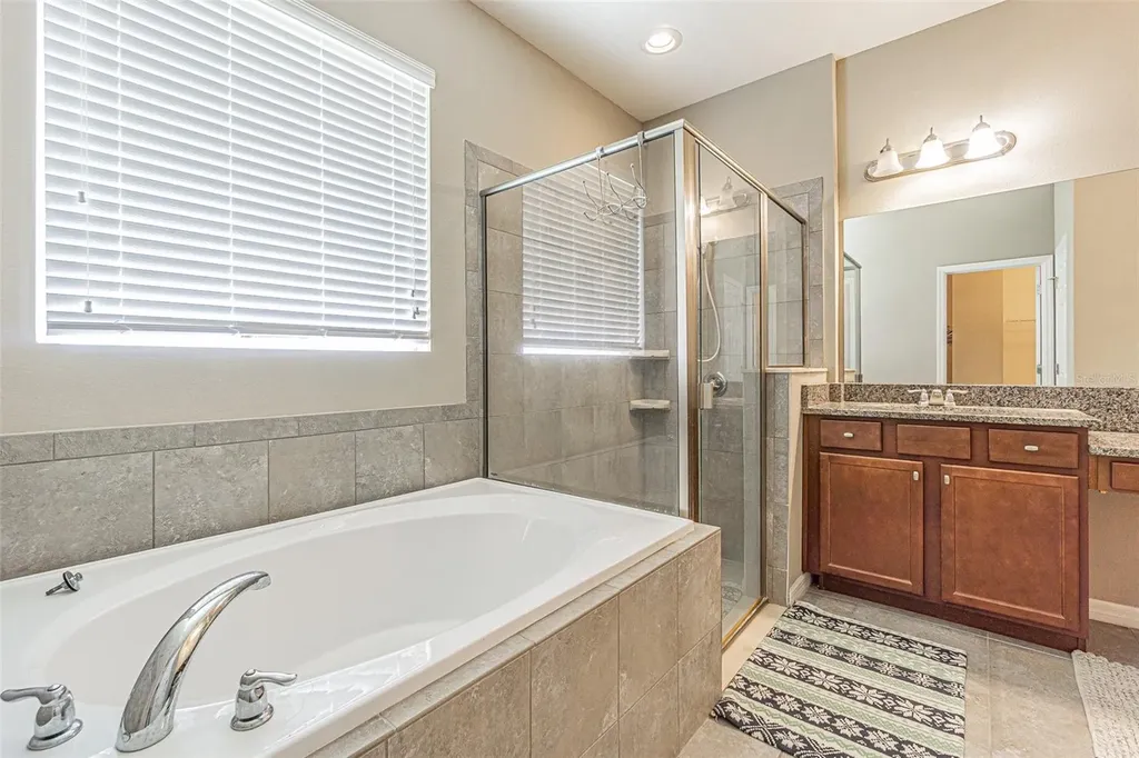 1667 Nature View Drive Lutz FL 33558